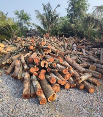 CỦI ĐÒN