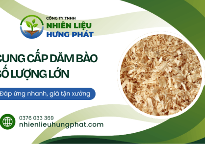 Cung cấp dăm bào Đồng Tháp số lượng lớn, giá xưởng, giao tận nơi